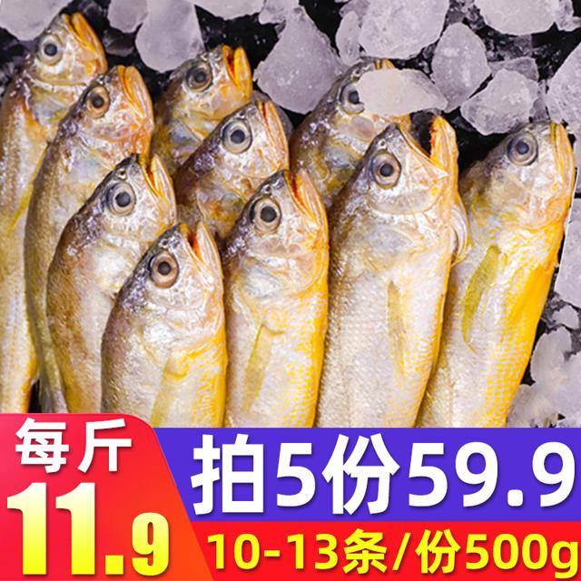鲜味时刻 东海鲜冻 小黄鱼黄花鱼 500g 10-13条/袋