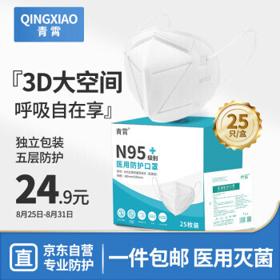 QINGXIAO 青霄 N95口罩防尘口罩 含双层熔喷过滤层 独立包装 25只/盒
