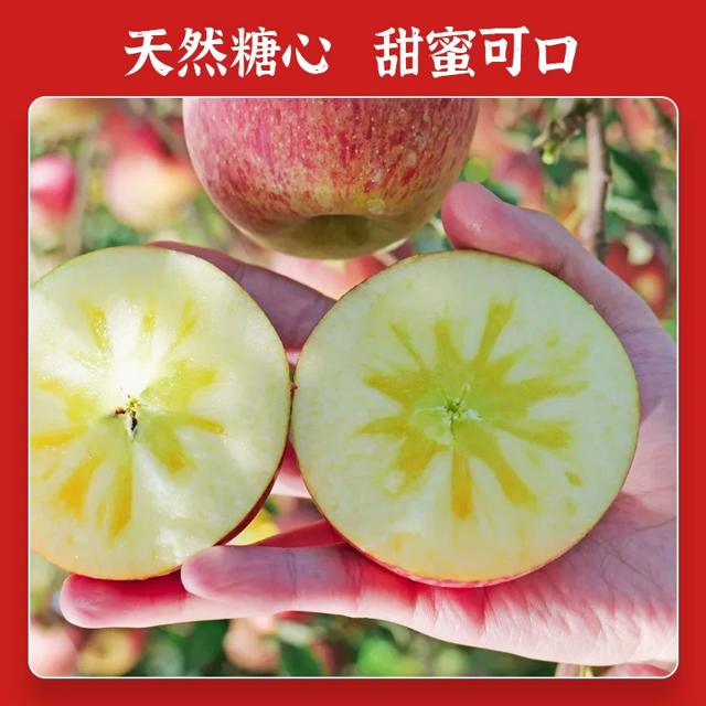 冰糖心苹果大凉山丑苹果脆甜4.5斤