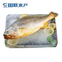 国联（GUOLIAN） 三去黄花鱼 400g/袋 单条 东海大黄鱼 产地直供 国产 冷冻 生鲜 海鲜水产