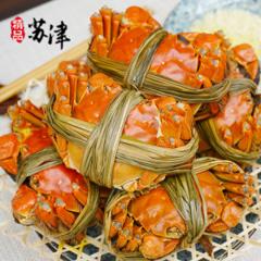 现货 鲜活大闸蟹 全母蟹1.5两*12只 99元包顺丰