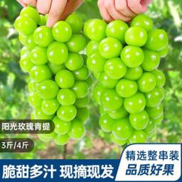 亿果争鲜 阳光玫瑰葡萄 净重3斤 精品彩箱装