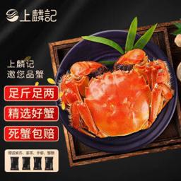 PLUS会员：上麟记 鲜活大闸蟹公4.2-4.5两 母2.7-3.0两 4对8只