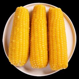 PLUS会员：穗康 甜糯黄玉米棒 250g*5支