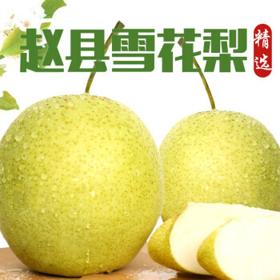 富祺元（FUQIYUAN）河北赵县雪花梨