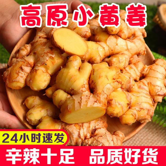 现挖云南小黄姜生姜嫩姜新鲜蔬菜月子姜新姜老土姜仔姜3斤5斤包邮 
