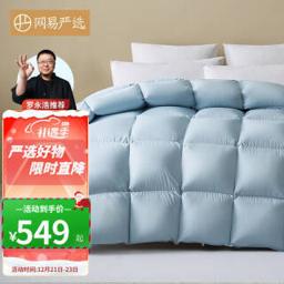 499元 PLUS会员：YANXUAN 网易严选 95%白鹅绒春秋被 经典抗菌款