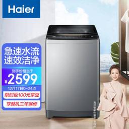海尔（Haier） ES100BZ169 变频波轮洗衣机 10kg 银色