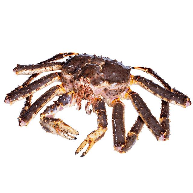 活冻帝王蟹阿拉斯加3-9斤帝皇蟹长腿蜘蛛蟹超大螃蟹海鲜大礼盒包