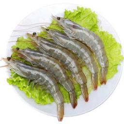 PLUS会员：生鲜冷冻大虾 2斤