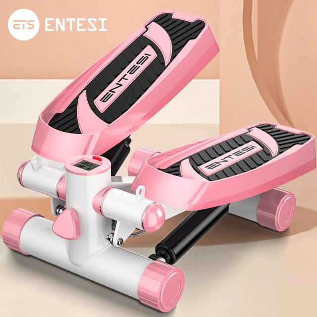 ENTESI ETS- 1688 加强款 小型踏步机