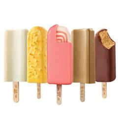 东北大板 21新品 5种网红口味冰淇淋组合 10支