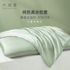 蚕丝标杆企业 太湖雪 四季桑蚕丝枕套 单条装