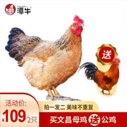 潭牛 110天公鸡1只+110天母鸡1只 
