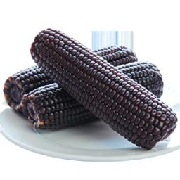 京东PLUS会员：静益乐源 甜糯黑玉米棒 220g*5根