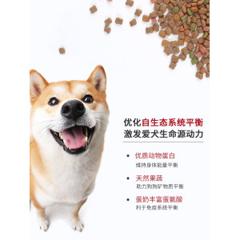 MYFOODIE 麦富迪 营养森林 全面营养小型犬犬粮 1.3kg