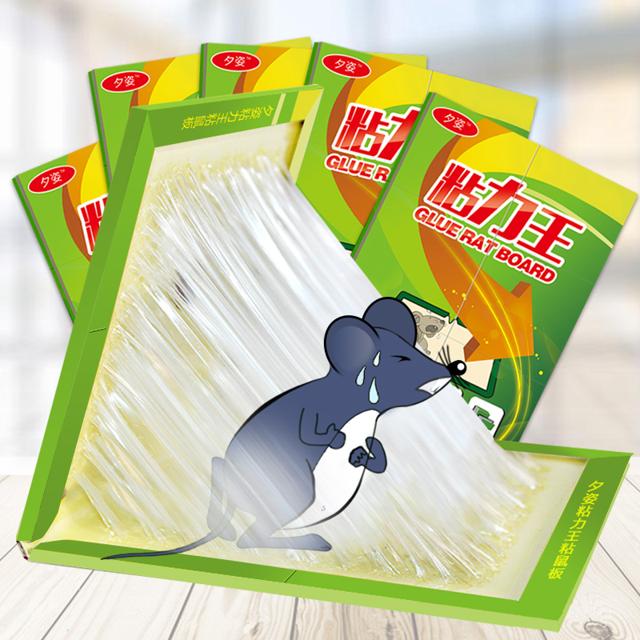 夕姿 灭鼠神器强力粘鼠板10张