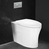 KOHLER 科勒 K-20798T-SL-0 壁挂式马桶
