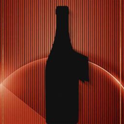 Amicone 阿玛可尼 意大利威尼托 干红葡萄酒 750ml 单瓶装（ 2016年）