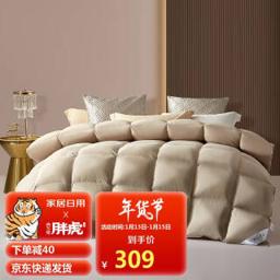 BLISS 百丽丝 鹅毛被 加厚保暖被芯 防钻绒春秋被 双人床 奥格威220*240cm