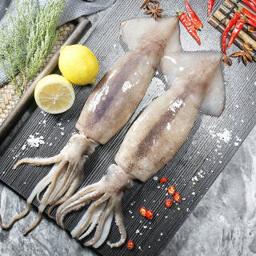 CHUXIAN 初鲜 整条大鱿鱼 600-650g 两条