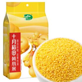十月稻田 内蒙古 金苗黄小米 1kg