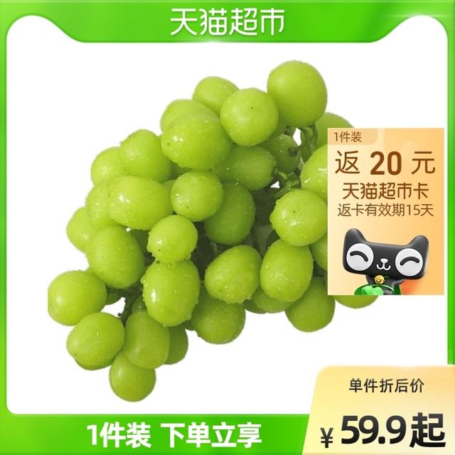 阳光玫瑰葡萄 青提 4斤 一级果单果重8-14g