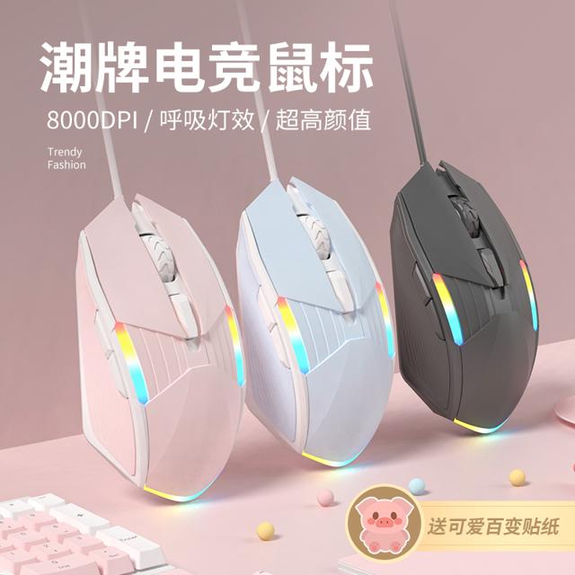 雷宝龙 有线静音鼠标 8000DPI