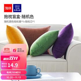 house&room 天鹅绒抱枕 抱枕盲盒_隐藏色系 45*45cm
