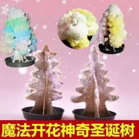 KIDNOAM 会生长的七彩圣诞树 5个装