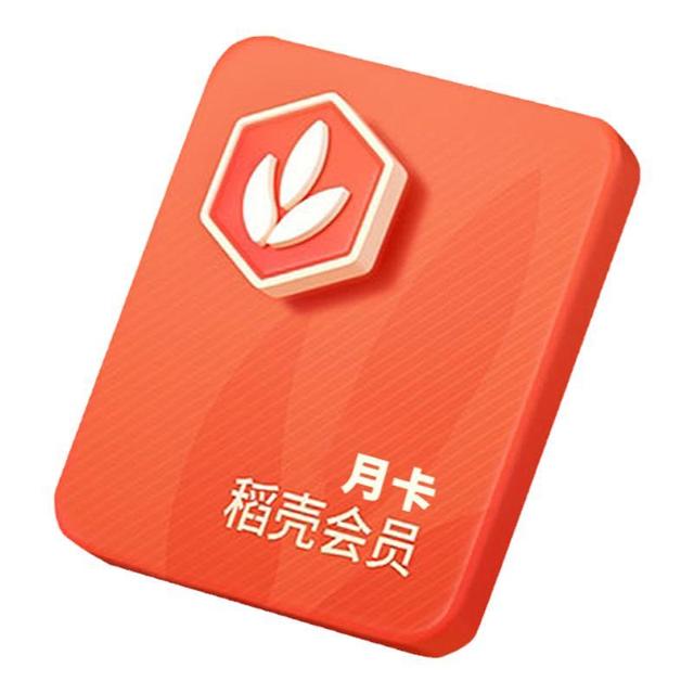 WPS 金山软件 稻壳会员 六年卡