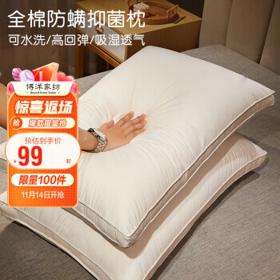 BEYOND 博洋 心怡 可水洗防螨抑菌枕 立高款 对装 48*74cm