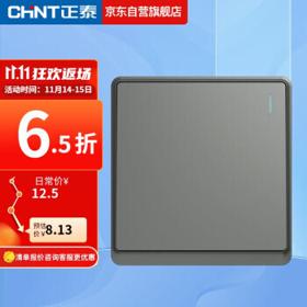 CHNT 正泰 NEW6-M14900 86型一开单控开关 幻银灰