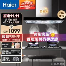 PLUS会员：Haier 海尔 CXW-219-E900T3S 侧吸式吸油烟机
