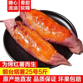 果酋长 山东烟薯25号红薯 5斤装