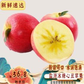 盐源冰糖心丑苹果 现摘四川大凉山丑苹果当季应季新鲜果脆甜苹果冰糖心 9.5-10斤【精选大果】带箱