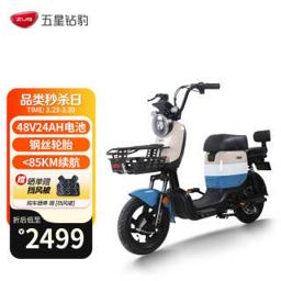 五星钻豹 B3 新国标电动自行车 TDT22Z 