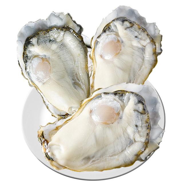 乳山生蚝鲜活5斤特大新鲜牡蛎10斤海蛎子海鲜水产鲜活批发1箱商用