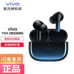 vivo TWS 2 真无线降噪耳机 