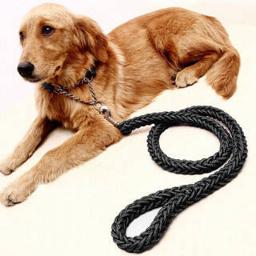 奥伊达尼龙八股编织P绳 大狗狗链宠物项圈牵引绳 小中大型犬遛狗绳长1.2米 颈围24-45CM