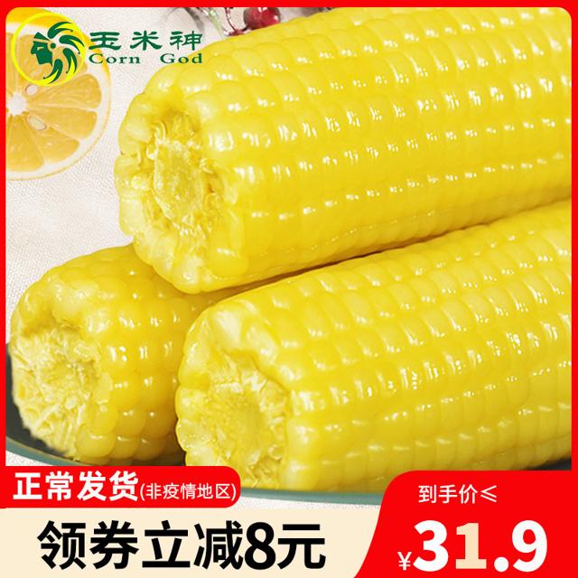 Corn God 玉米神 新鲜糯玉米10棒/8棒粘甜黏真空袋装包整箱东北黄粒非转基因 