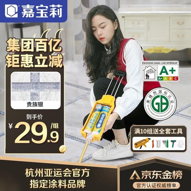 CARPOLY 嘉宝莉 防霉抗菌净味双组份金装美缝剂 贵族银 400ml