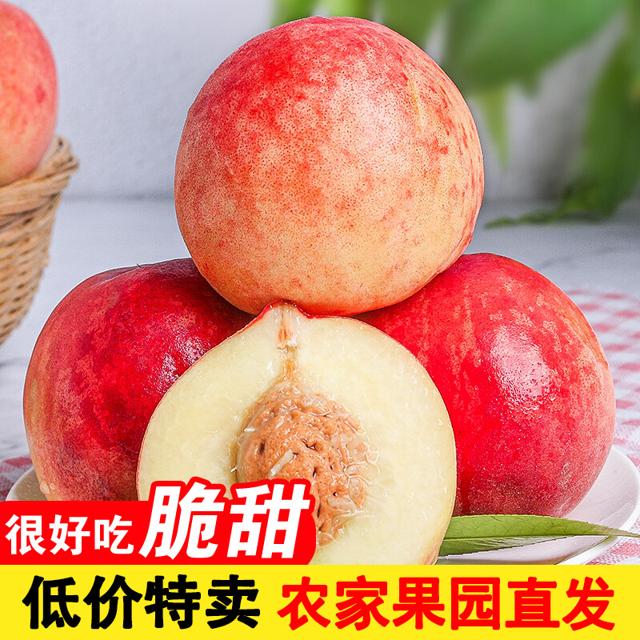 2022新摘水蜜桃 当季脆桃新鲜桃子 5斤装 