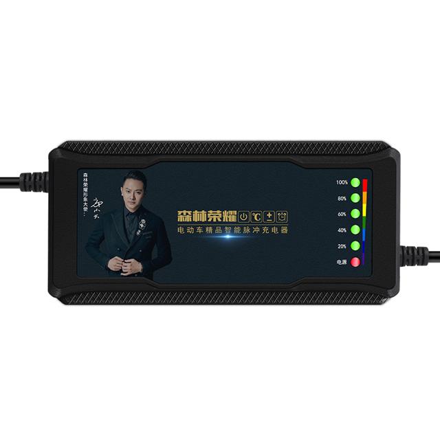 天王鑫自动断电智能电动车电瓶充电器48V12AH60V20AH72