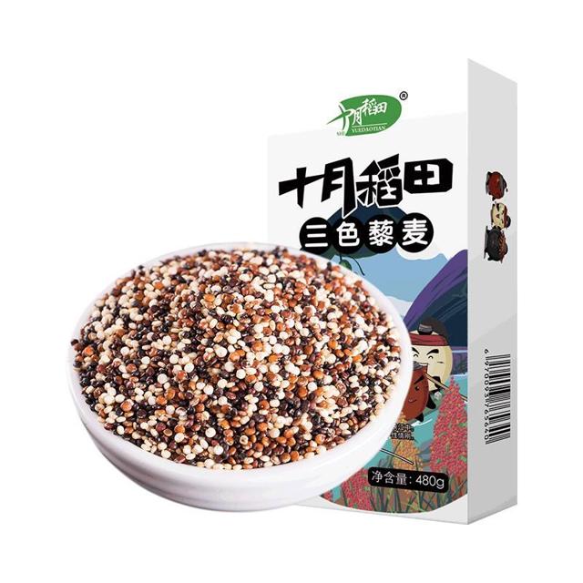 十月稻田 三色藜麦 480g 