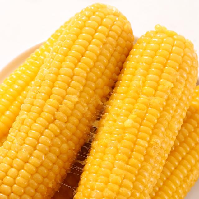 灶小美 内蒙古巴彦淖尔彩糯玉米