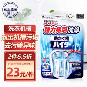 Kao 花王 洗衣机槽清洁粉 180g
