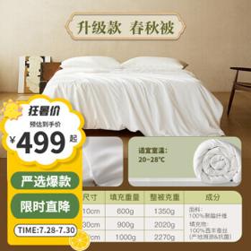 YANXUAN 网易严选 双重抗菌A类蚕丝被 150*200cm 春秋被（升级款）