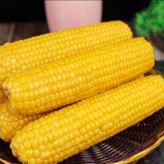 东北甜糯香玉米棒4 真空包装玉米