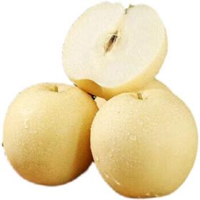 PLUS会员：洑记 河北皇冠梨 5斤 (单果约250g+)